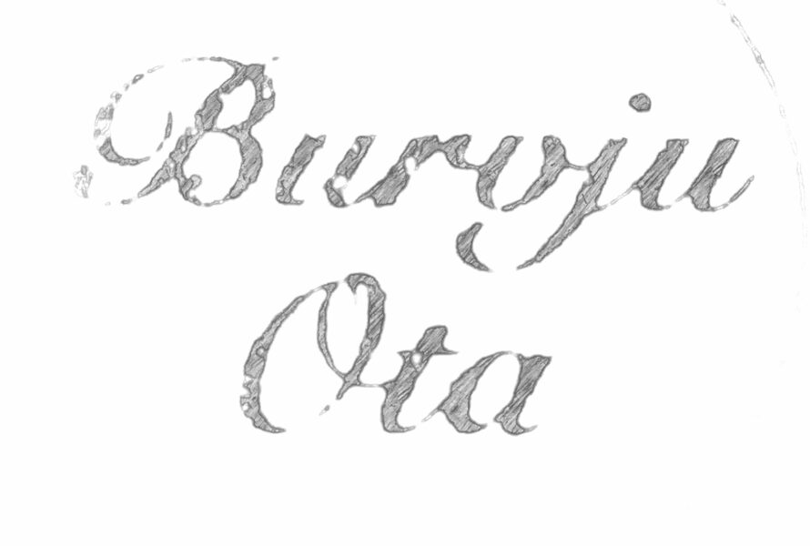 Burvju Ota 